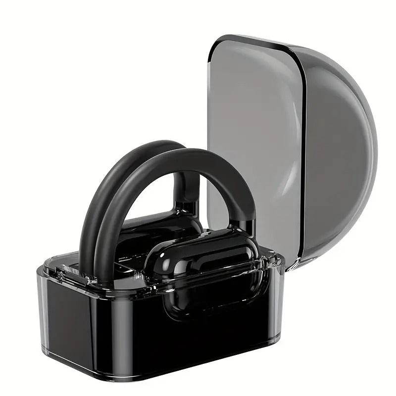 Kalbos vertimo ausinės