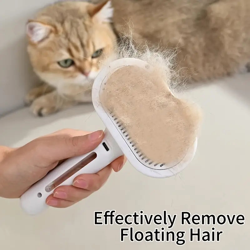 elektrinis šepetys katei