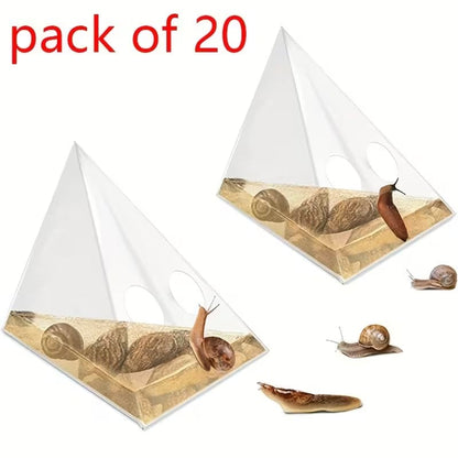 šliužų spąstai
